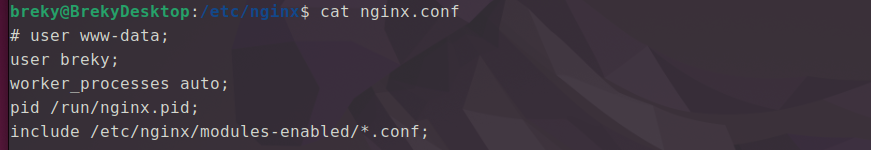 11.png|图 1：/etc/nginx/nginx.conf 修改后的内容